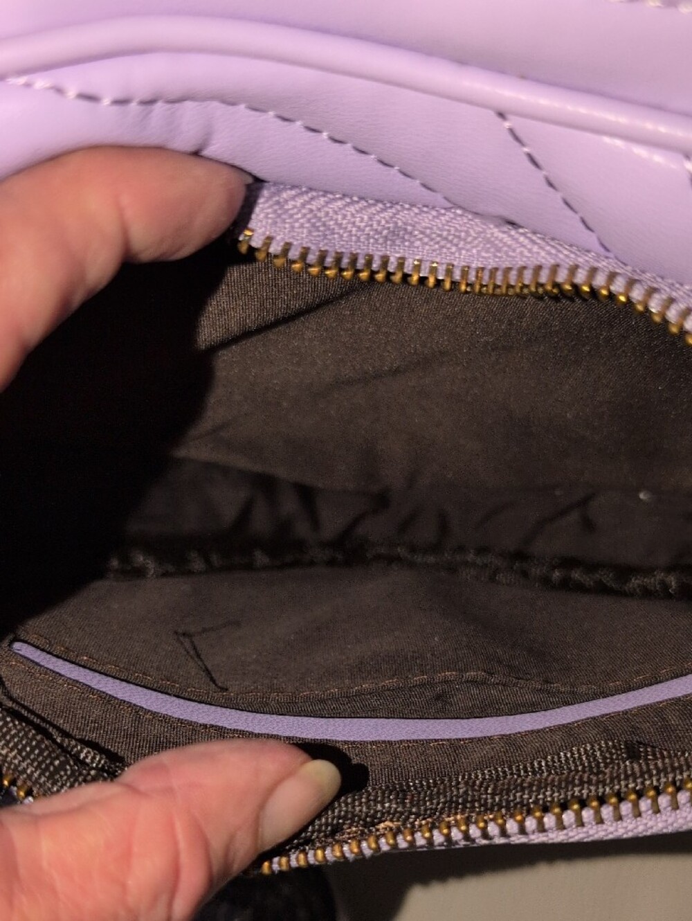 Lavender Heart-Shaped Crossbody Bag with Gold Toned Hardware - Picture 8 of 8
